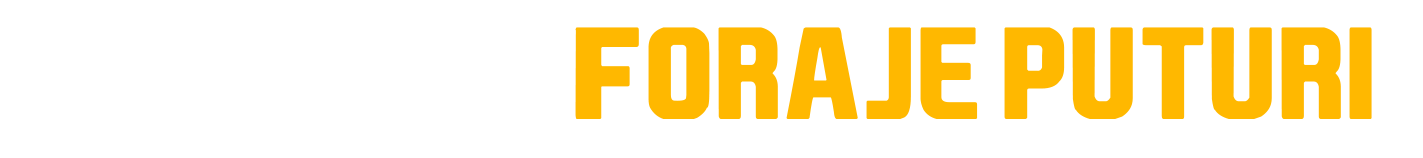 Foraje Puțuri de Apă | Servicii Profesionale în Toată Țara – Intervenții Rapide